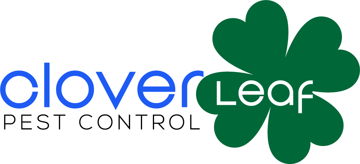 Cloverleaf Holdings